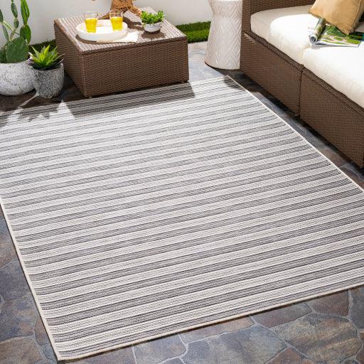 Surya Pasadena PSA-2388 2'7" x 7'3" Rug