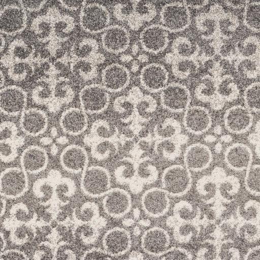 Surya Pembridge PBG-1000 2' x 3'7" Rug