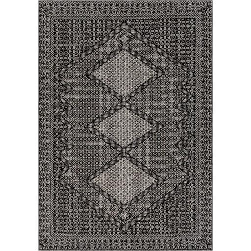 Surya Pisa PSS-2346 7'10" x 10' Rug