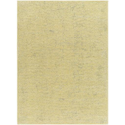 Surya Quebec QBC-2306 2'7" x 10' Rug