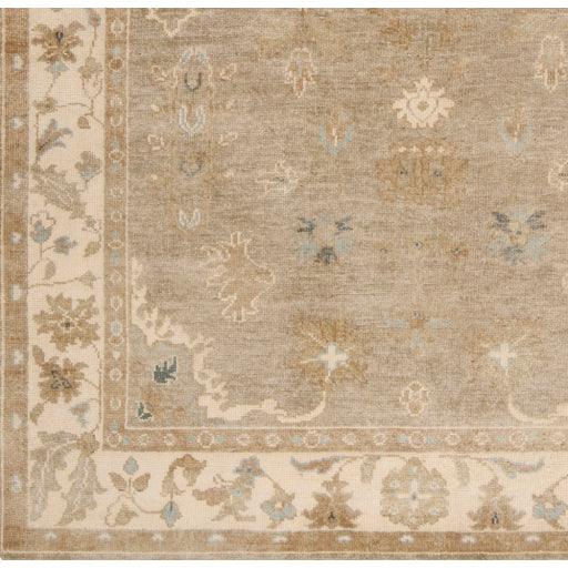 Surya Transcendent TNS-9000 2' x 3' Rug