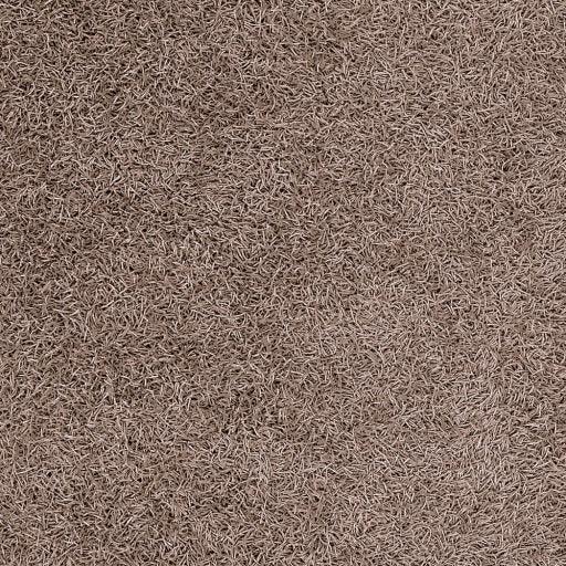 Surya Vivid VIV-802 2'6" x 4'2" Rug